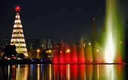 3d обои Огромная стилизированная ёлка в центре города рядом с красиво подсвеченными фонтанами  новый год