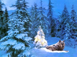 3d обои Волк отмечает Новый Год  зима