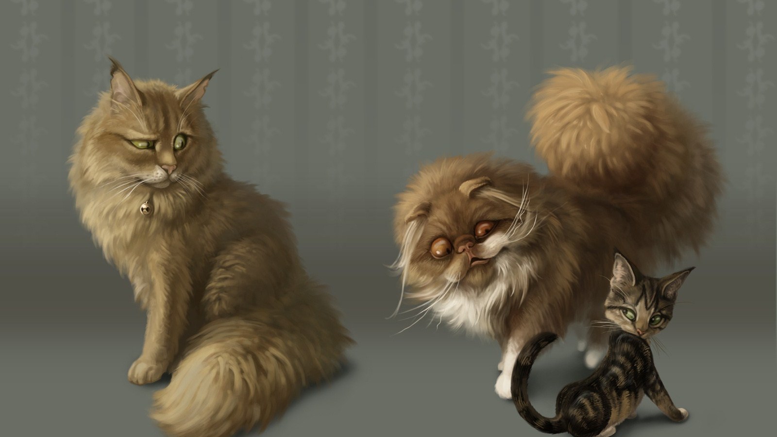 3d обои Прикольные мордашки пушистых котов, наблюдающих за полосатым  1600х900 # 7433