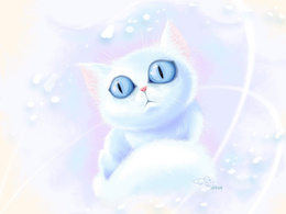 3d обои Белый голубоглазый котёнок  милые