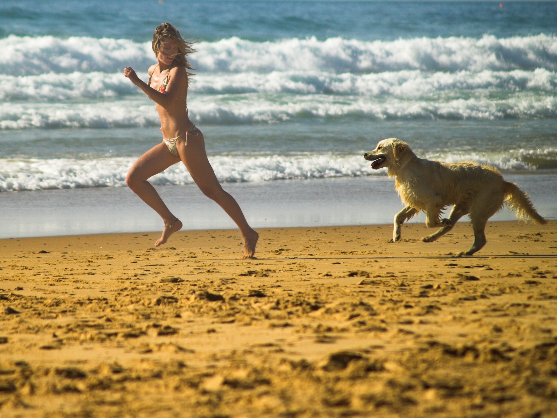 3d обои Девушка бежит наперегонки с собакой по пляжу  1920х1440 # 14869