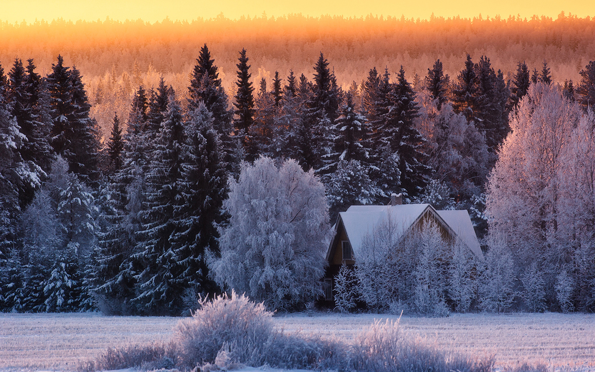 3d обои Закат в снежном лесу, среди деревьев стоит небольшой домик  зима # 40980