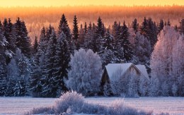 3d обои Закат в снежном лесу, среди деревьев стоит небольшой домик  зима