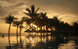 3d обои Курорт с пальмами на закате... вода кажется золотой  лето