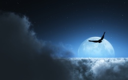 3d обои Орел над облаками на фоне яркой луны  ретушь