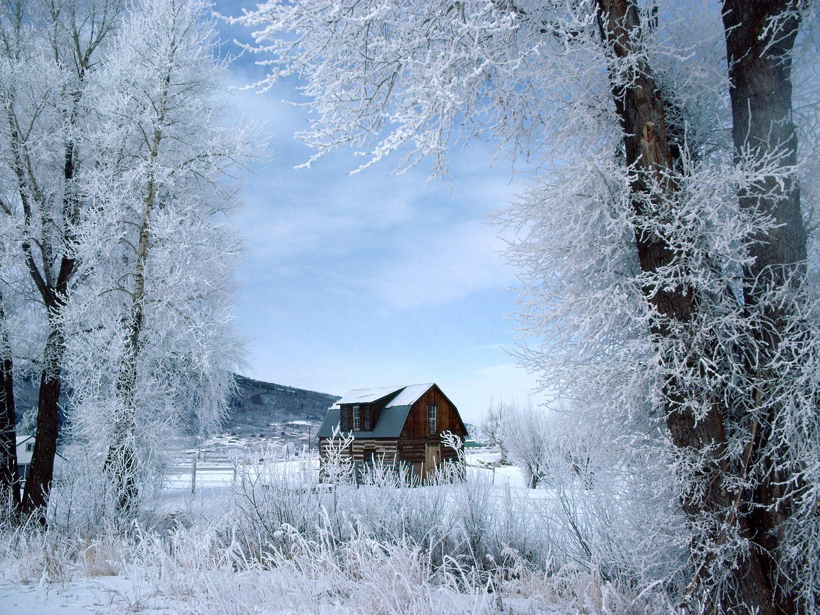 3d обои Дом среди заснеженной природы  зима # 40969