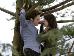 3d обои Белла и Эдвард улыбаются друг другу на ветках дерева  1024х768
