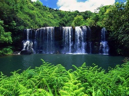 3d обои Водопад в джунглях  1600х1200