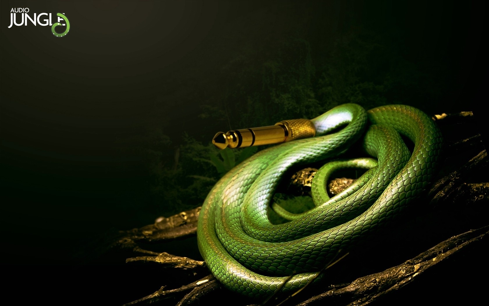 3d обои Аудио-провод в виде змеи (Audio jungle)  змеи # 41132
