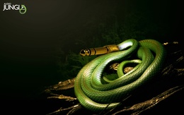 3d обои Аудио-провод в виде змеи (Audio jungle)  змеи