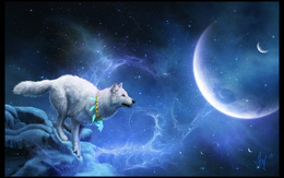 3d обои Волк смотрит на так притягивающую его луну  волки