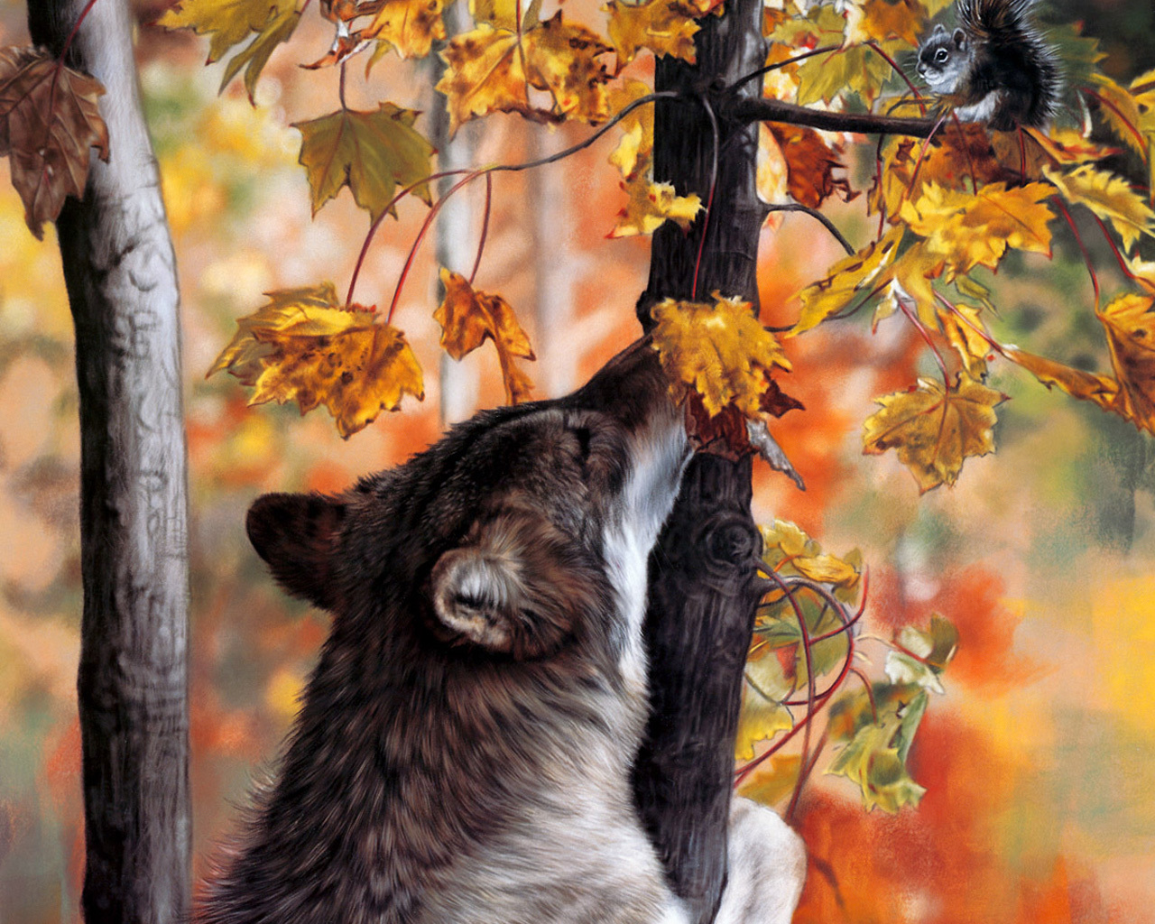 3d обои Волк пристально смотрит на сидящую на ветке белку  осень # 68300