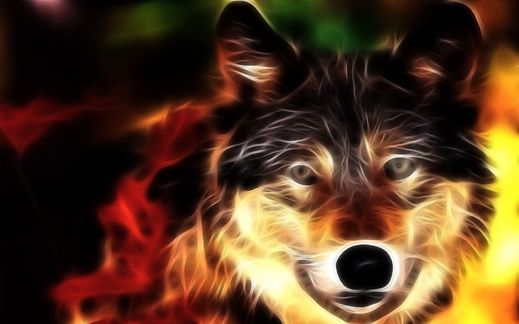 3d обои Рисунок волка, как бы сотканный из разноцветных сполохов  волки # 23398
