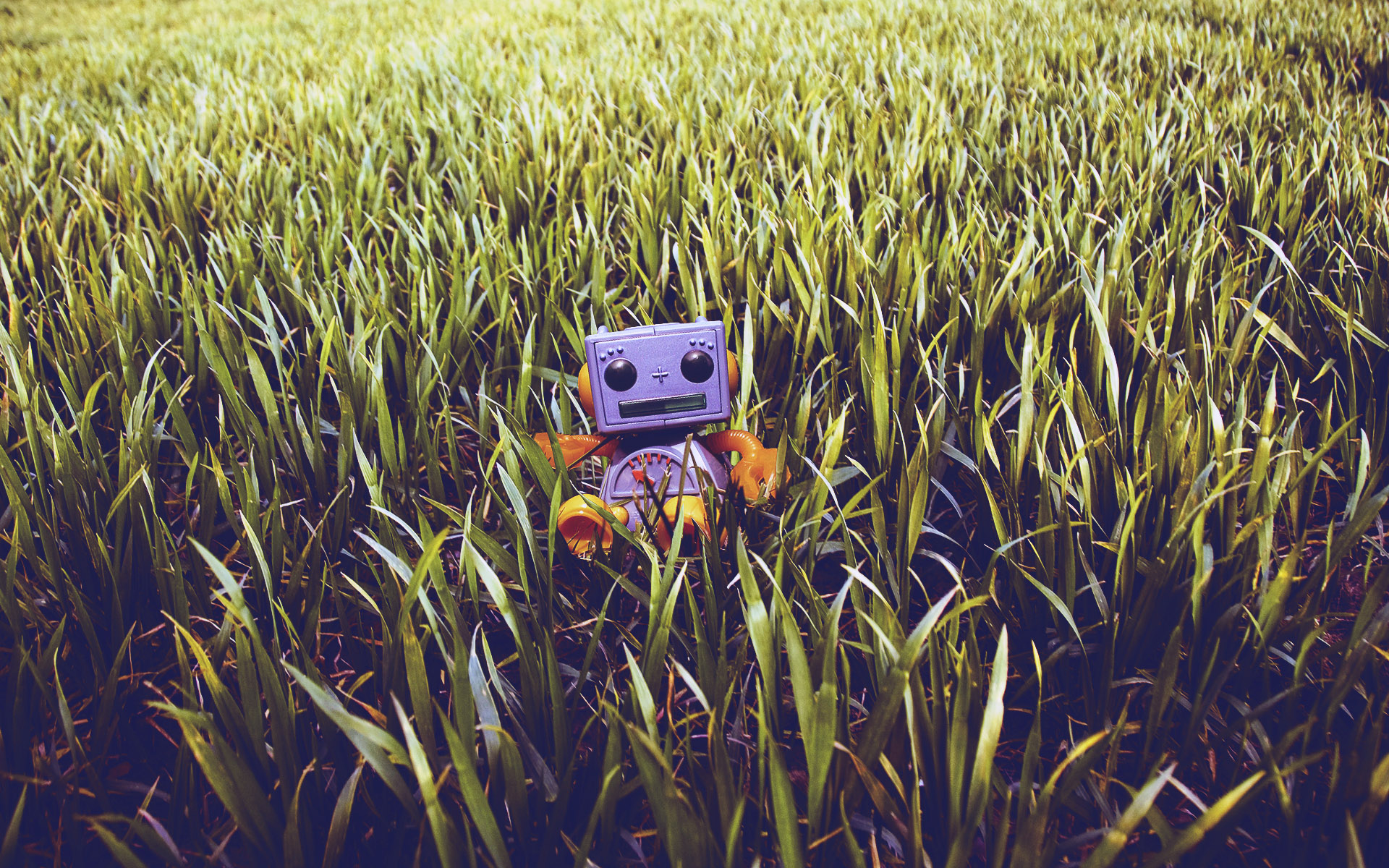 3d обои Маленький игрушечный робот в траве  игрушки # 41457