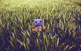 3d обои Маленький игрушечный робот в траве  игрушки