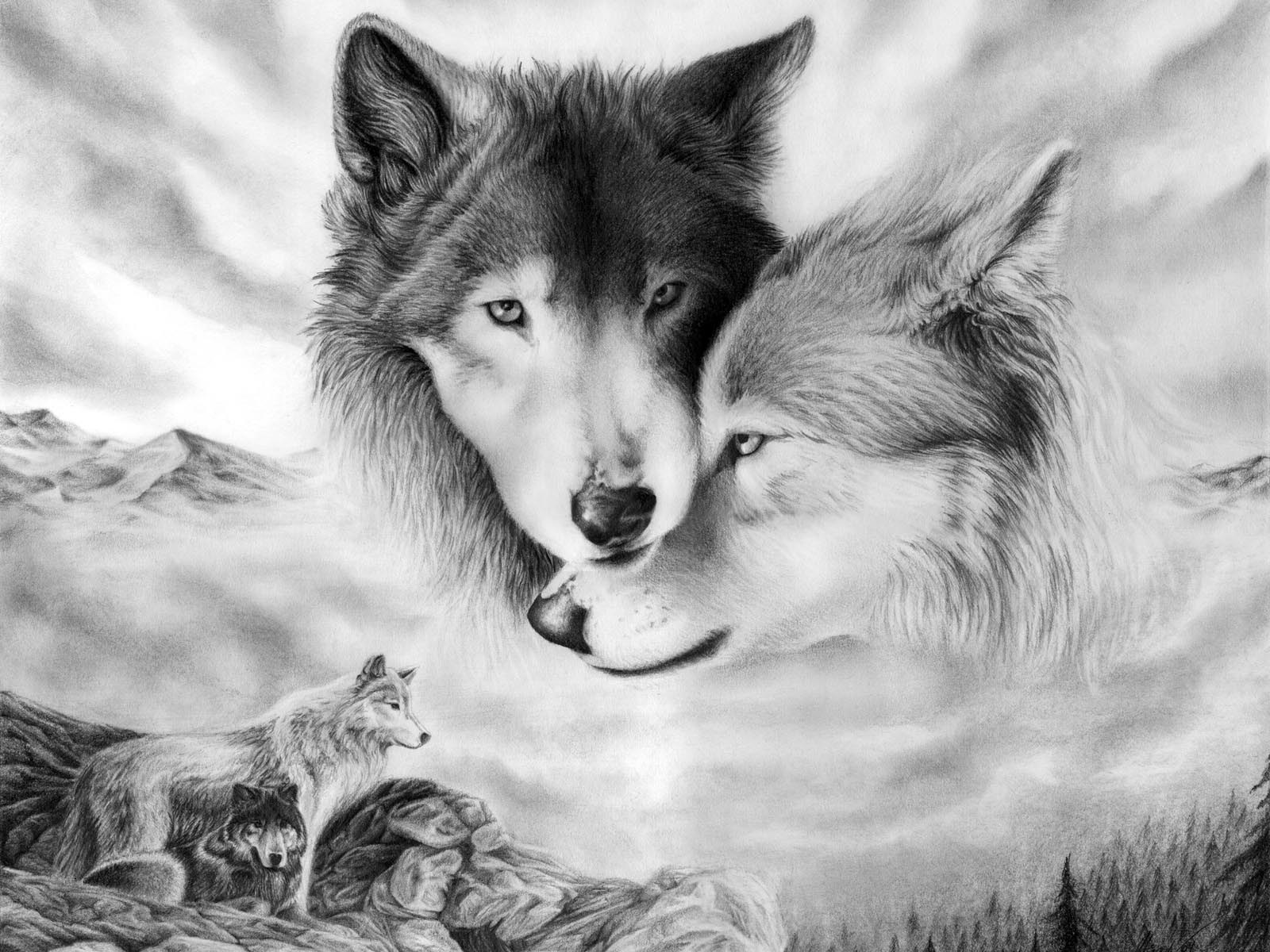 3d обои Волчья любовь  волки # 23393