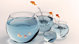 3d обои Золотые рыбки прыгают из аквариума в аквариум  3d графика