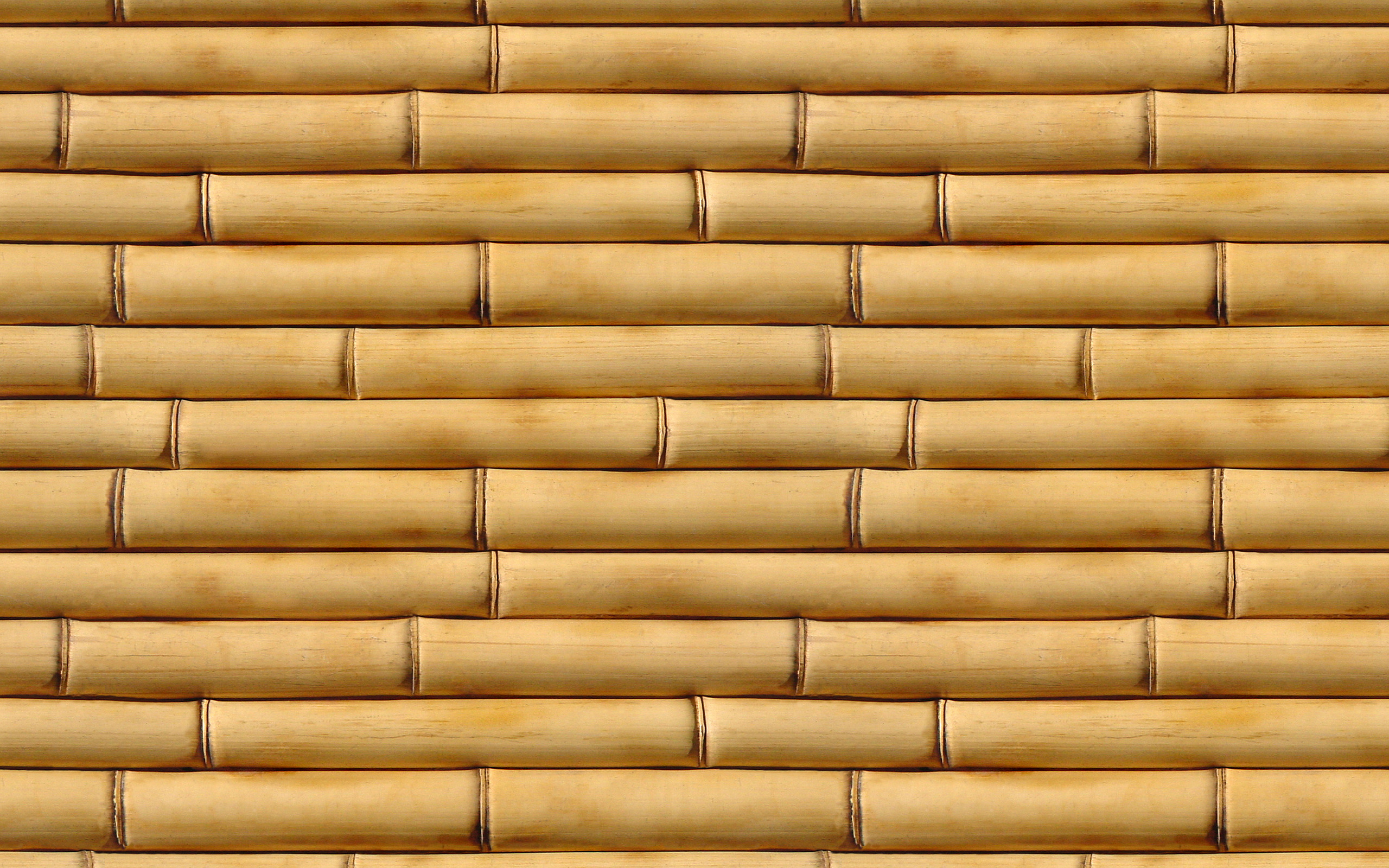 3d обои Текстура бамбука  текстуры # 82713
