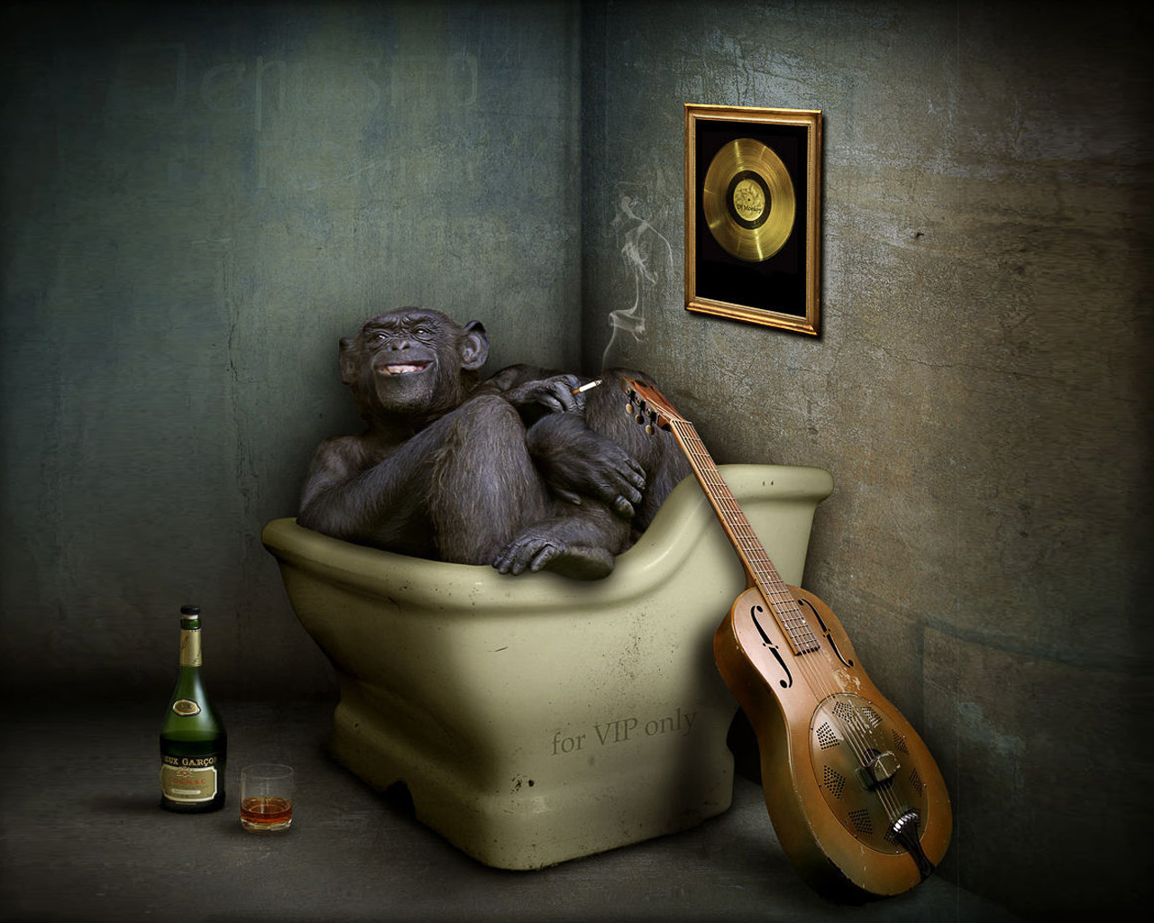 3d обои Обезьяна с сигаретой сидит в сидячей ванной, курит и пьет (for VIP only)  обезьяны # 67918