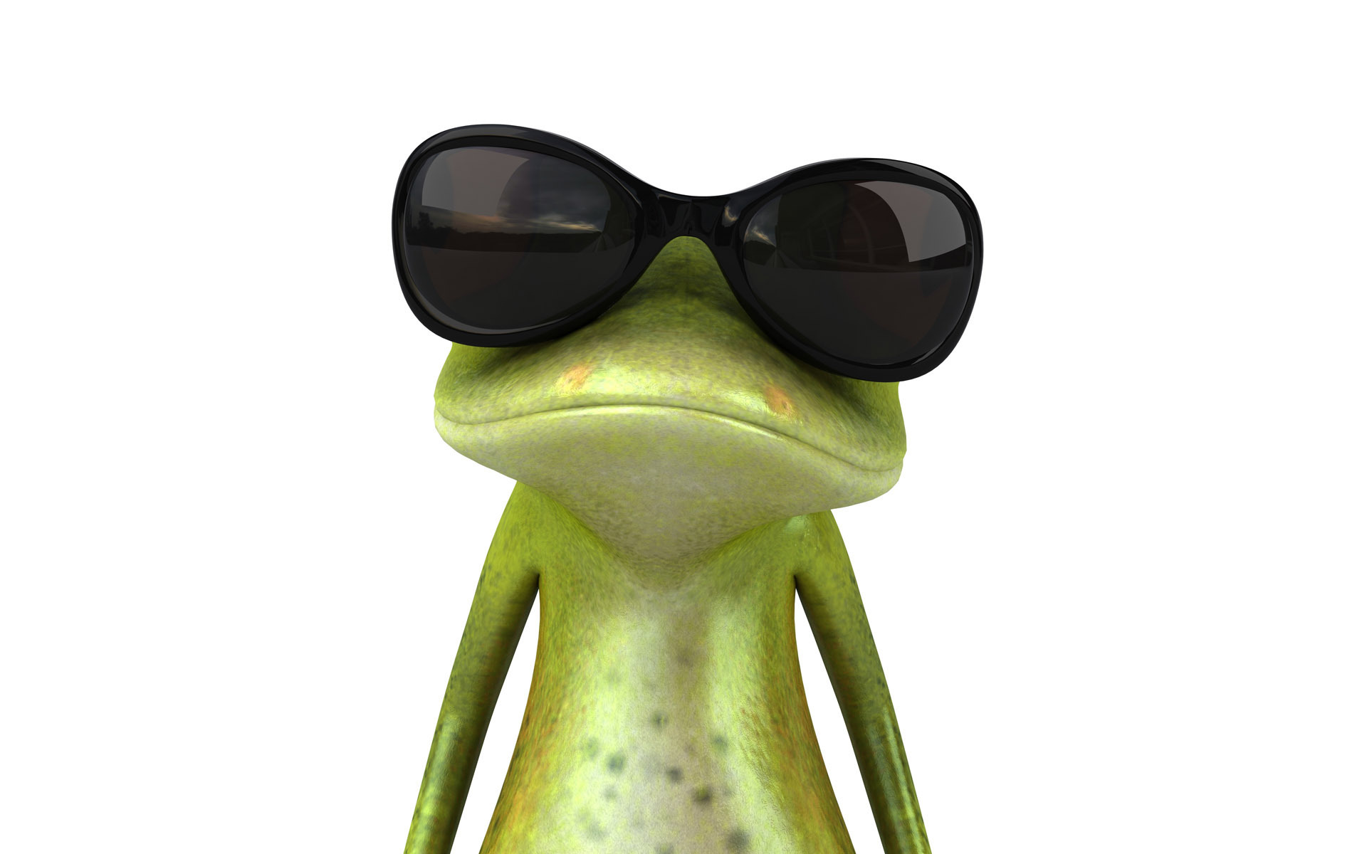 3d обои Крутой лягушонок в черных очках, представляющий себя Джеймс Бондом  лягушки # 51969