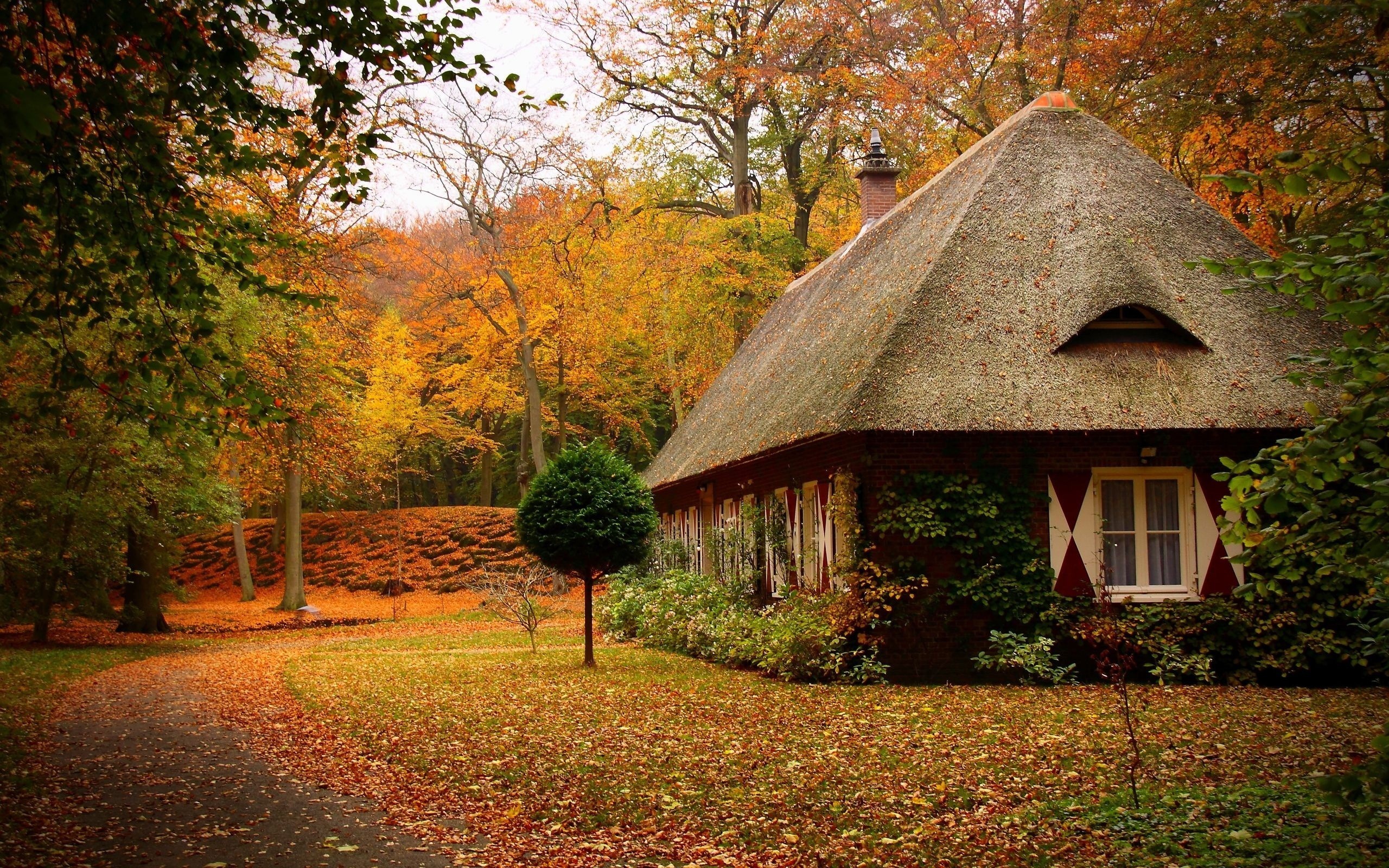 3d обои Дом с крышей из дерна среди деревьев осенью  осень # 68292