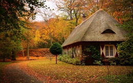 3d обои Дом с крышей из дерна среди деревьев осенью  листья