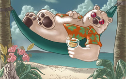 3d обои Мишка наслаждается коктейлем, лёжа в гамаке на пляже.  1440х900