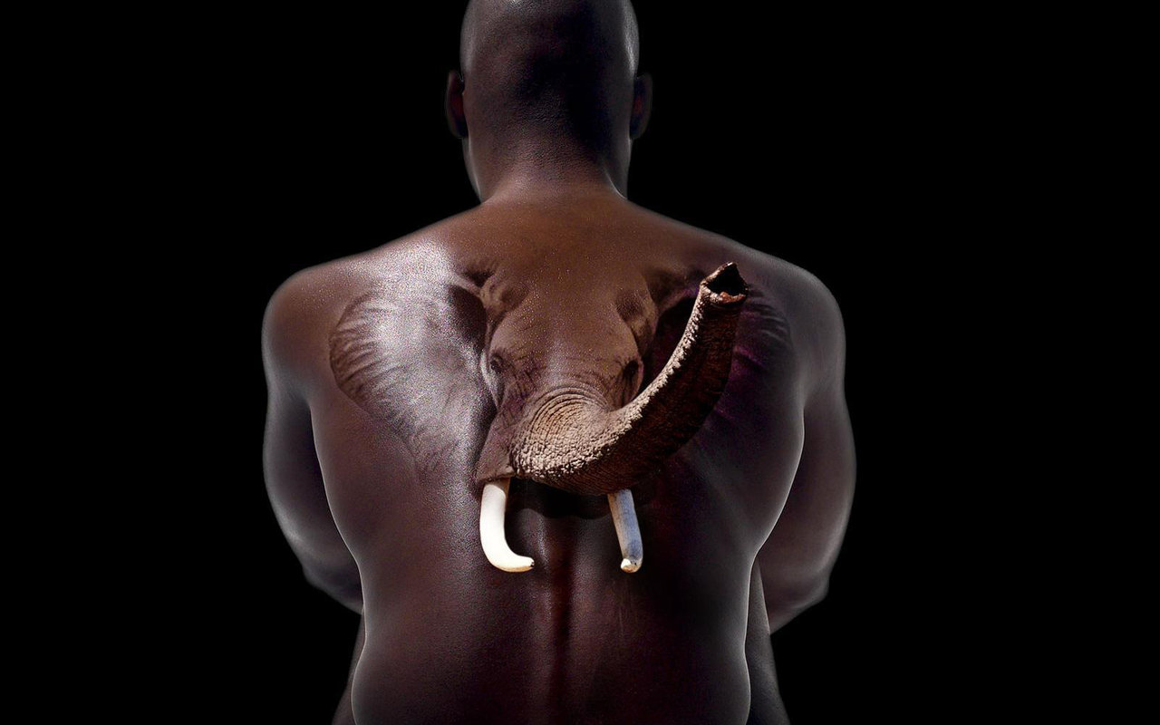 3d обои спиной сидит обнажённый чернокожий  мужчина,а из спины появляется голова слона  сюрреализм # 82260