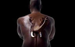3d обои спиной сидит обнажённый чернокожий  мужчина,а из спины появляется голова слона  ретушь