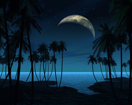 3d обои Тихая лунная ночь на морском берегу-луна,море,пальмы  сюрреализм
