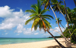 3d обои Летний теплый пейзаж.. пальмы и горячий песок  лето