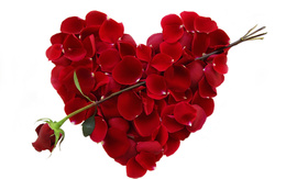 3d обои С днём Святого Валентина, сердце из лепестков  сердечки