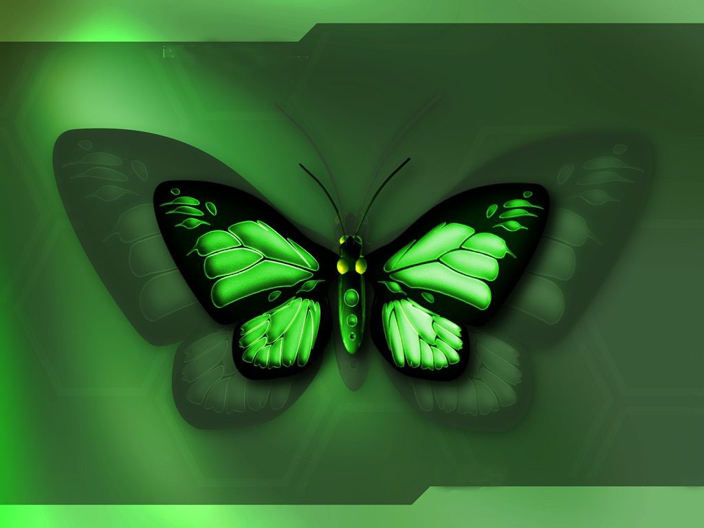 3d обои Красивая зелёная бабочка  3d графика # 17695