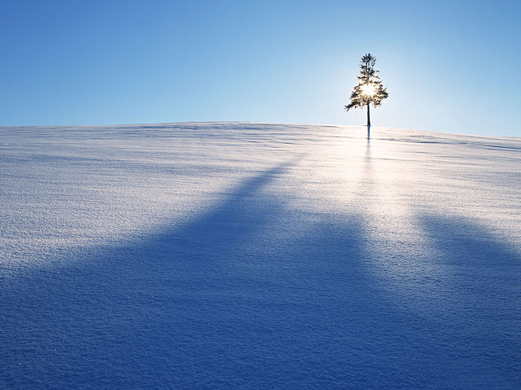 3d обои Одиноко стоящее дерево на вершине снежного холма в лучах солнца  1024х768 # 490