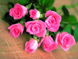 3d обои Букет розовых роз  1024х768