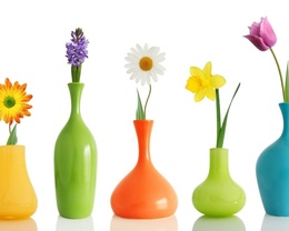 3d обои Цветные вазы, в каждой по цветочку  позитив