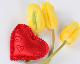 3d обои Плюшевое сердечо и три желтых тюльпана  сердечки
