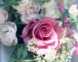 3d обои Букет из мелких цветочков и розовой розы  капли