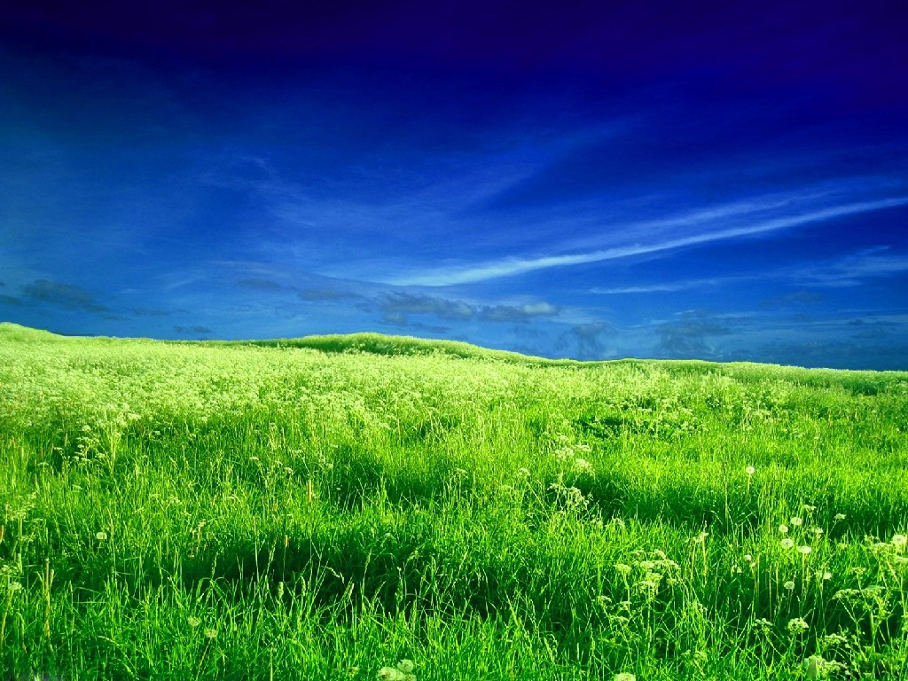 3d обои Синее небо и зеленое поле  1024х768 # 452