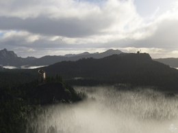 3d обои Туман в лесу  горы
