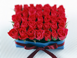 3d обои Розы в подарок на 8 марта  1600х1200