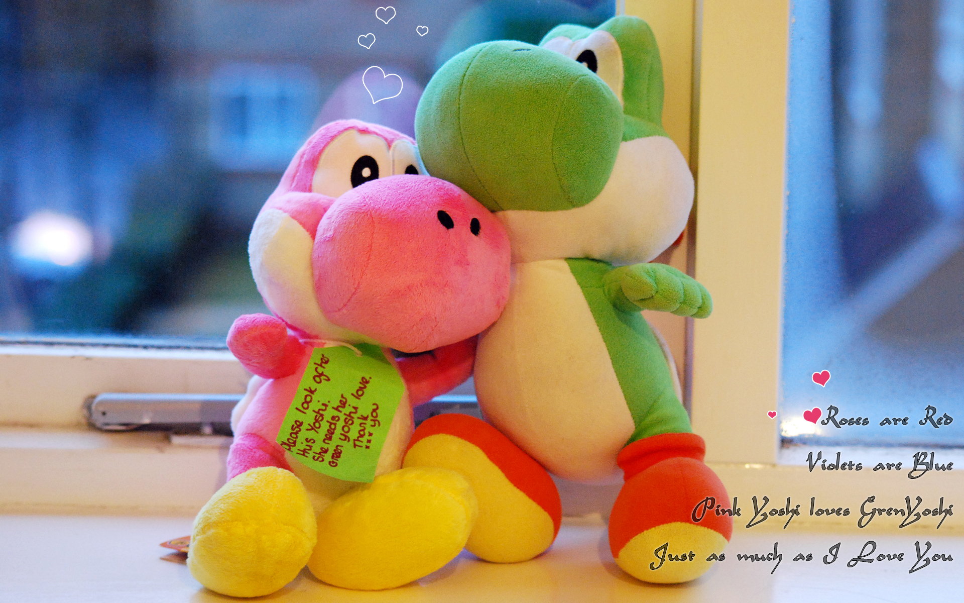 3d обои Розовый и зеленый крокодильчики на подоконнике (Roses are Red Videts are blue Pink yoshi loves Gren Yoshi Just as much As I Love You.....) Записочка в руках (Please look octes this Yoshi. She needs her green yoshi love. Thank you ***))  игрушки # 41442