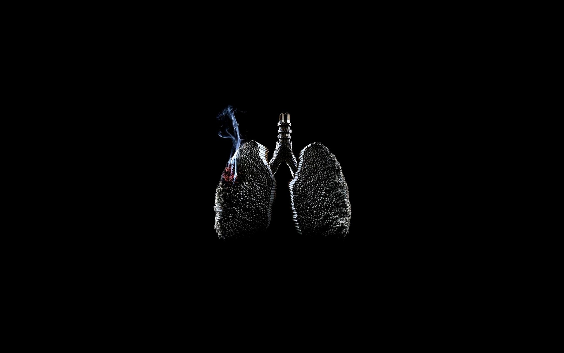 3d обои Лёгкие курильщика собранные из сигарет  дым # 36137