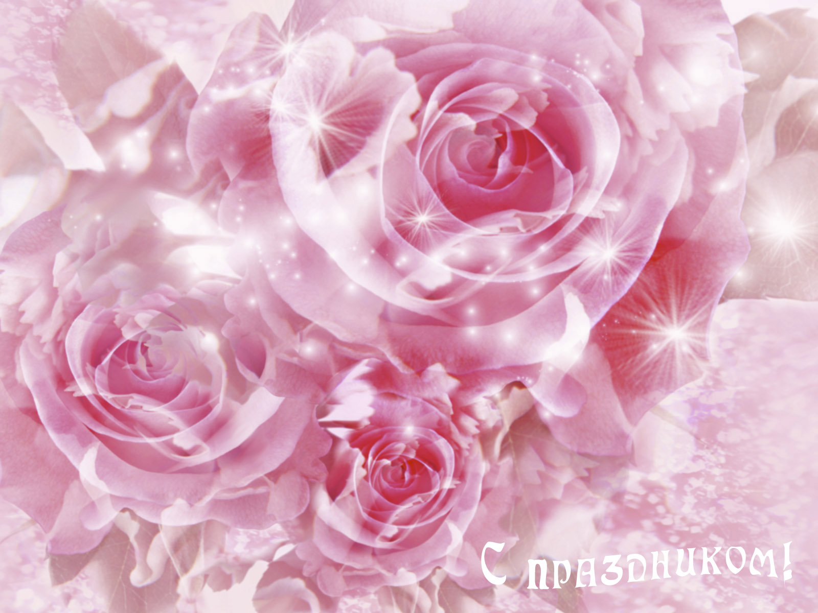 3d обои Розовые розы (С праздником!)  1600х1200 # 5559