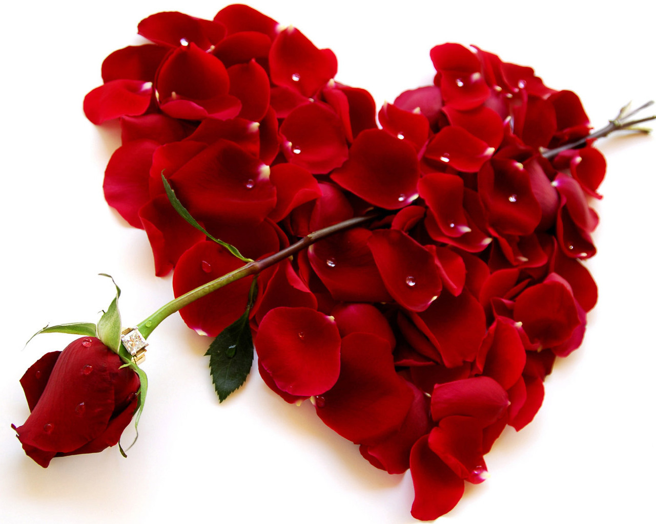 3d обои Красная роза как-будто стрелой пронзает серде,выложенное из лепестков красных роз  сердечки # 79857