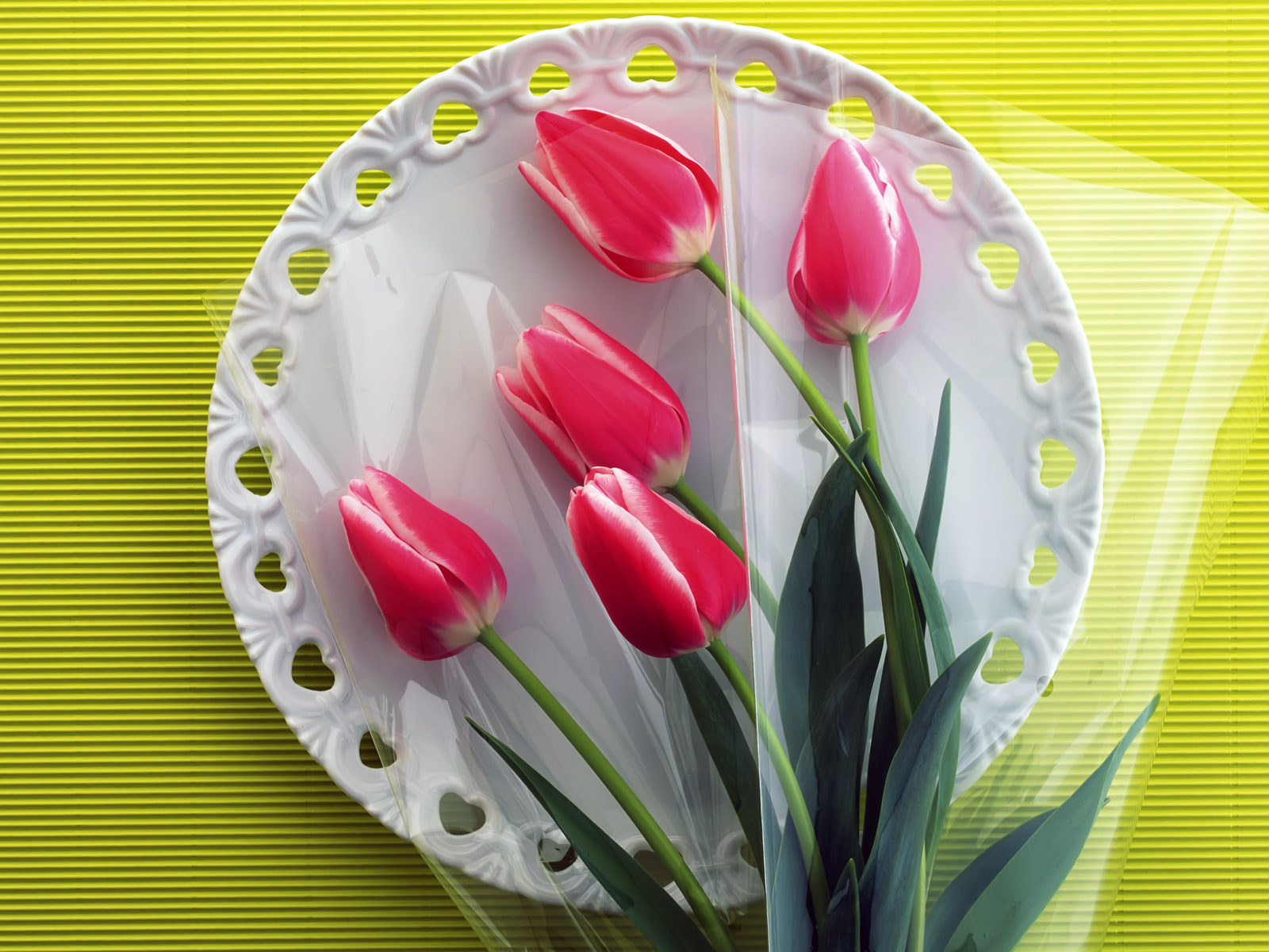 3d обои Розовые тюльпаны на тарелке  1600х1200 # 5399