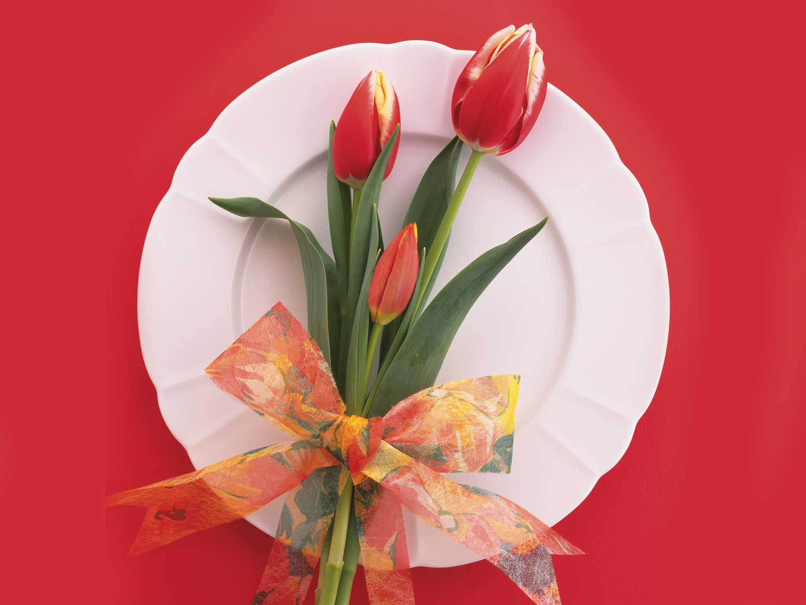 3d обои Красивые тюльпаны в подарок на тарелке  1600х1200 # 5391