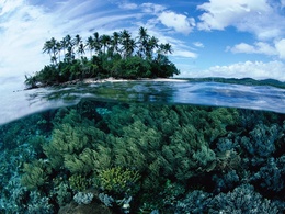3d обои Вокруг острова казалось бы тихое море, но под толщей воды целый мир состоящий из водорослей  подводные