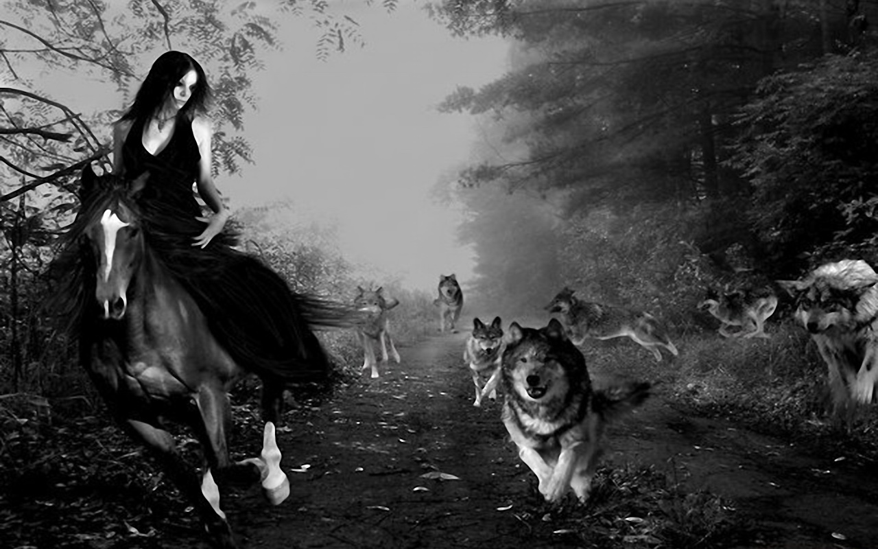 3d обои погоня стаи волков за дошадью и ее наездницей  лошади # 51316