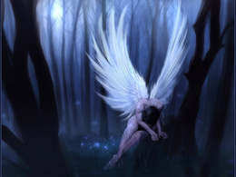 3d обои Страдающий ангел в ночном лесу...  1024х768
